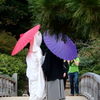 Japanese style