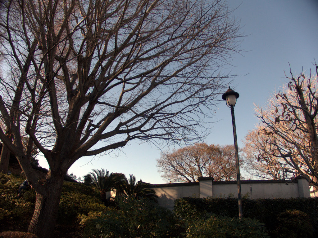 141223イタリア山にて-4