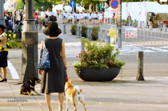 日常の中のイベント