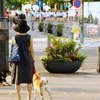 日常の中のイベント