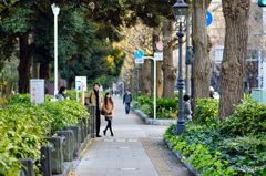 冬の散歩道