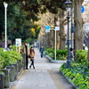 冬の散歩道