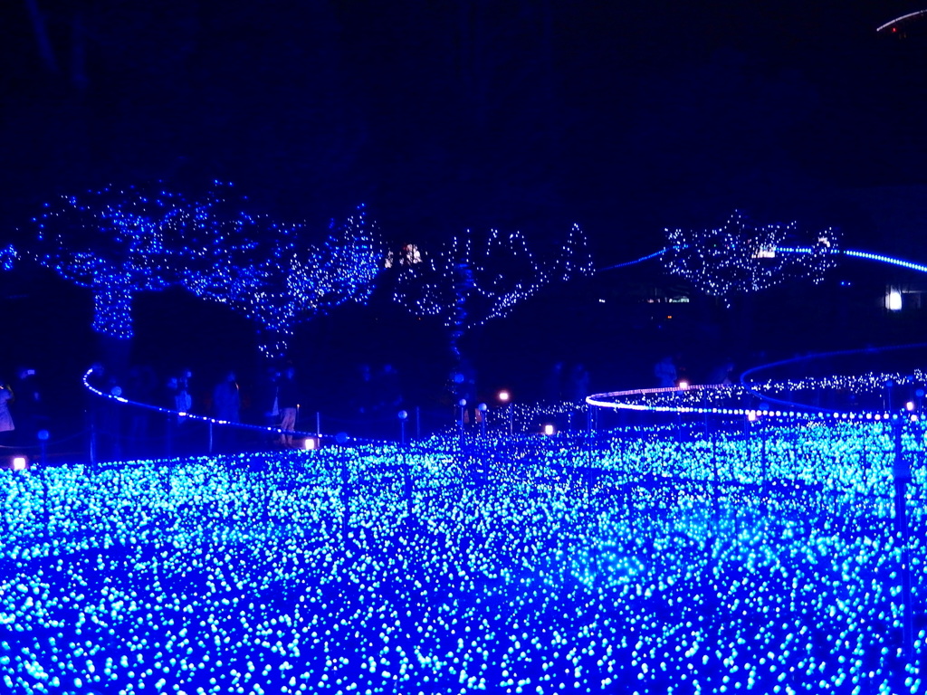 青色LEDの海