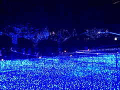 青色LEDの海