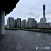 小雨振る午後に