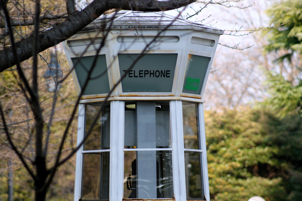 2014年12月30日横浜