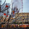 最後の紅葉