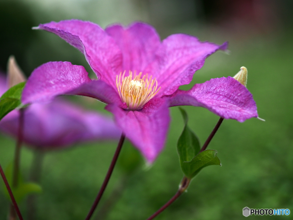 さあ　今日から仕事