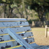 山手春の気配-4