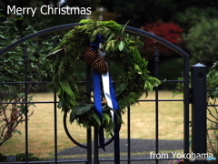 メリークリスマス！！！
