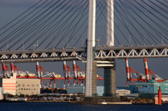 正月　横浜港にて