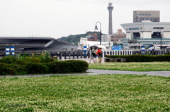 雨の横浜