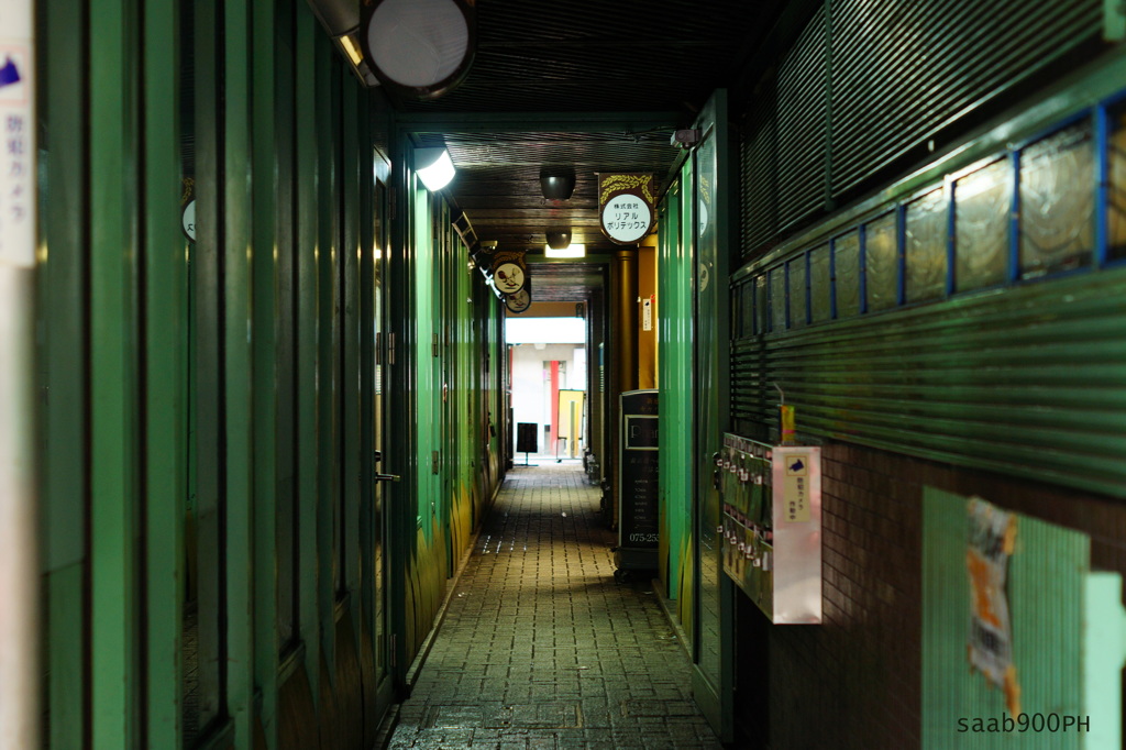 木屋町から先斗町へ