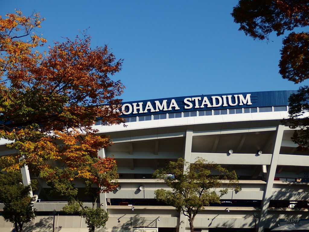 Autumn in Stadium