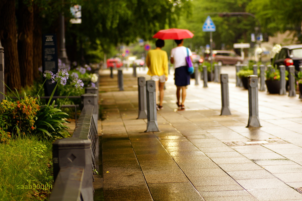 雨の横浜-4