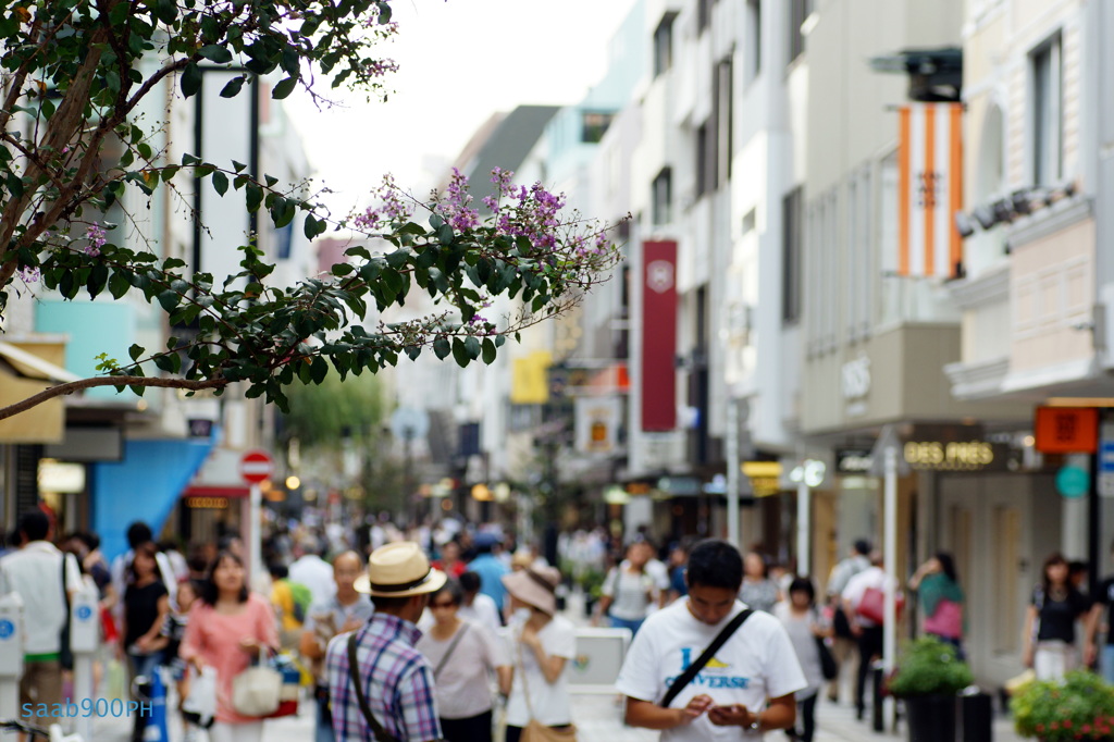 ９月初め元町にて