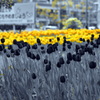 Part Color　YELLOW-2