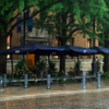 雨の大通り