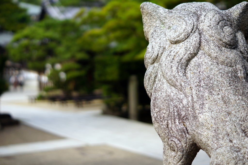 新緑の清荒神-3