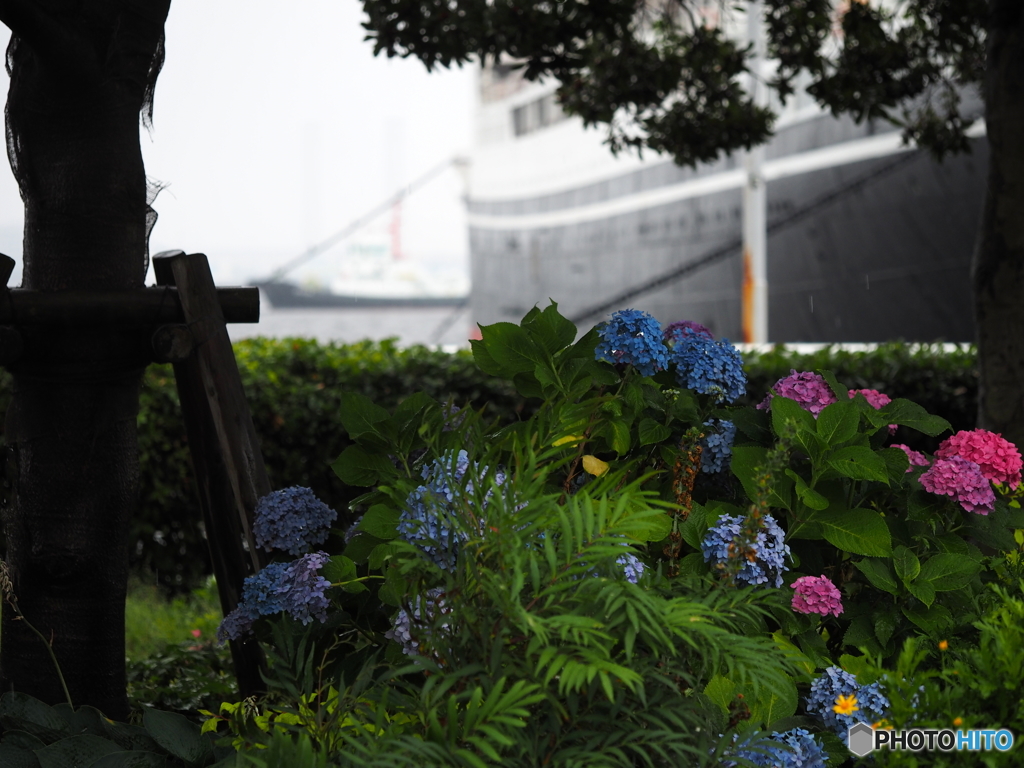 雨の山下公園