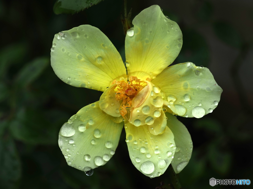September rain