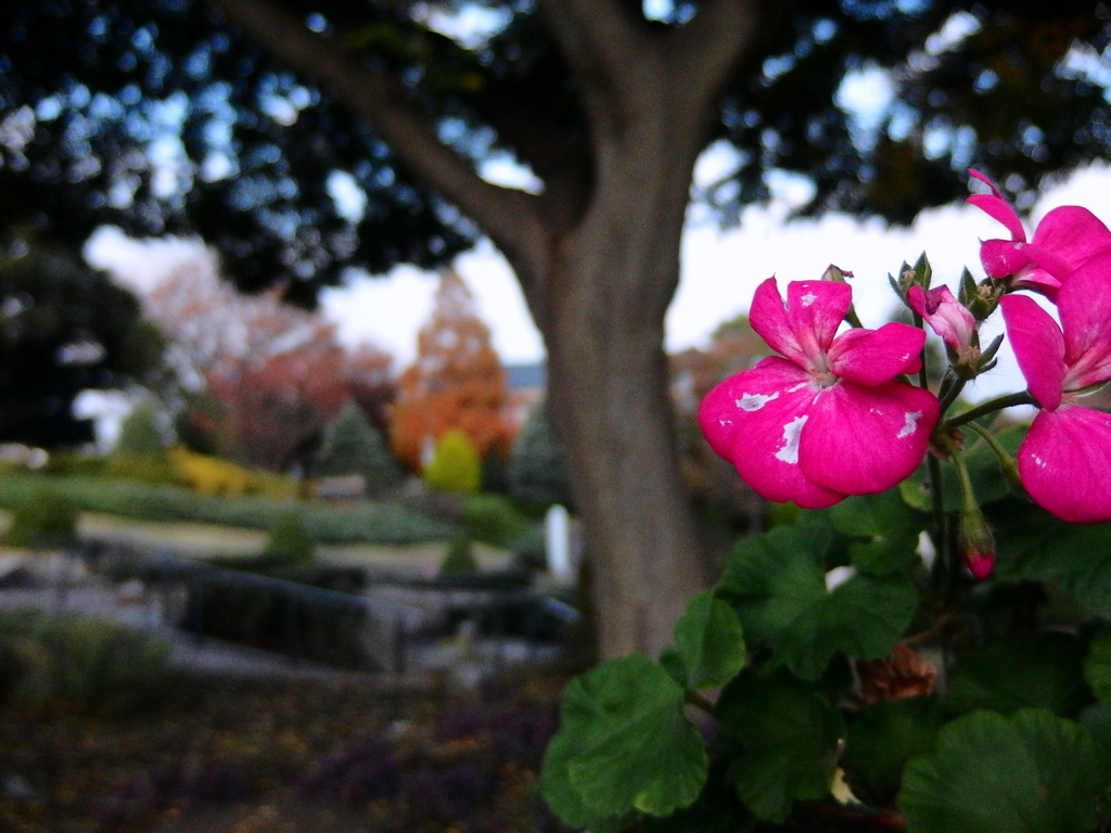 冬が来る前に-2