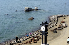 東京湾景