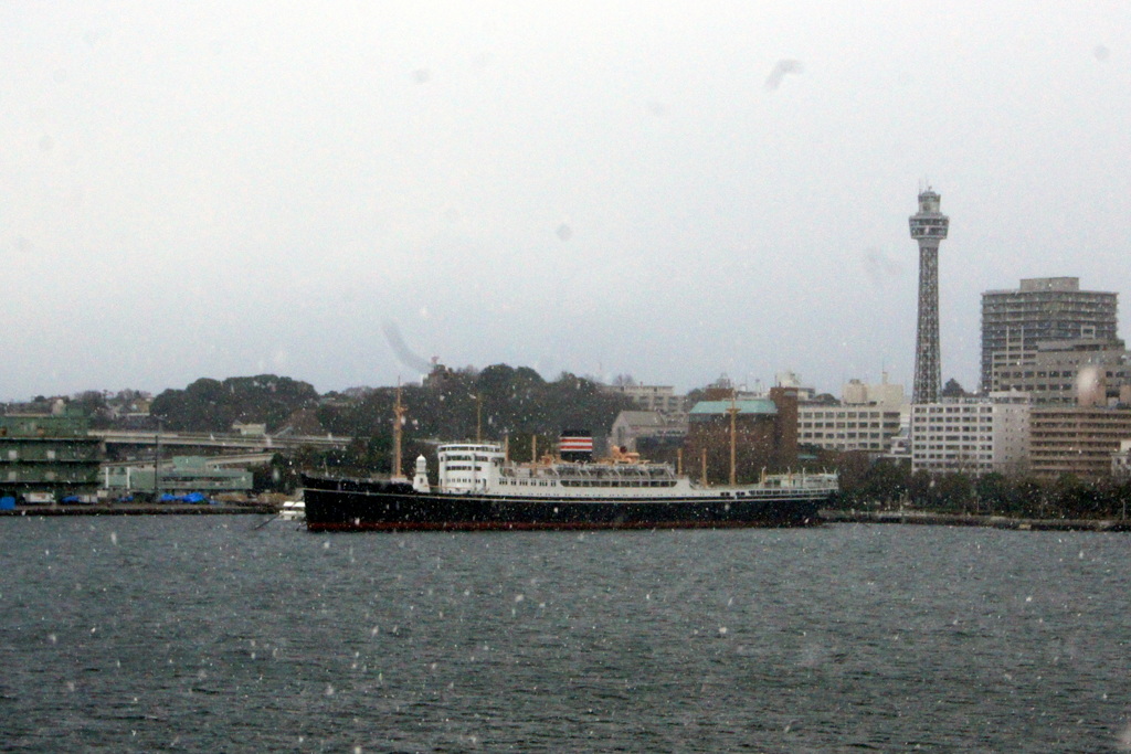 雪の横浜-4