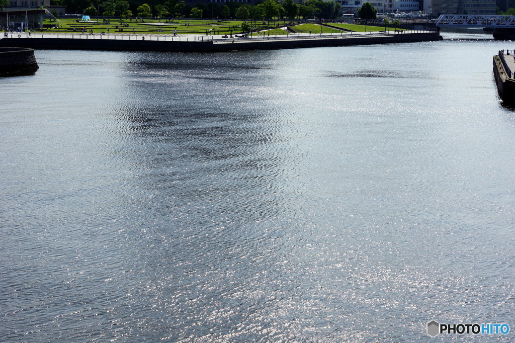 夏近し横浜-2