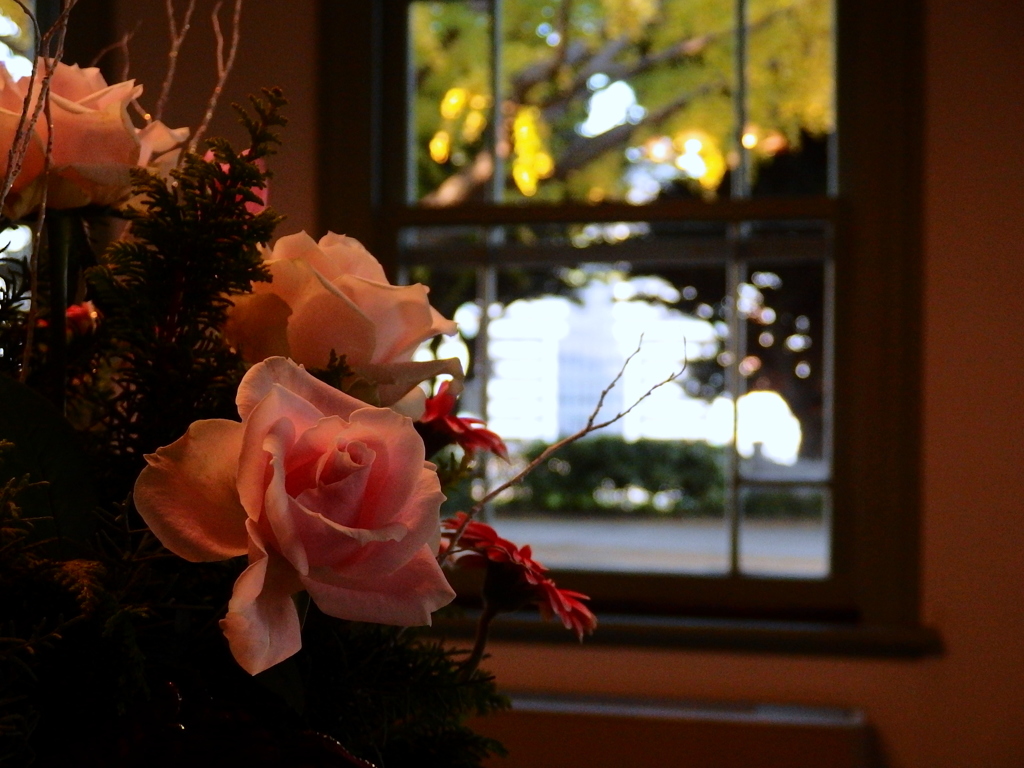 薔薇と銀杏
