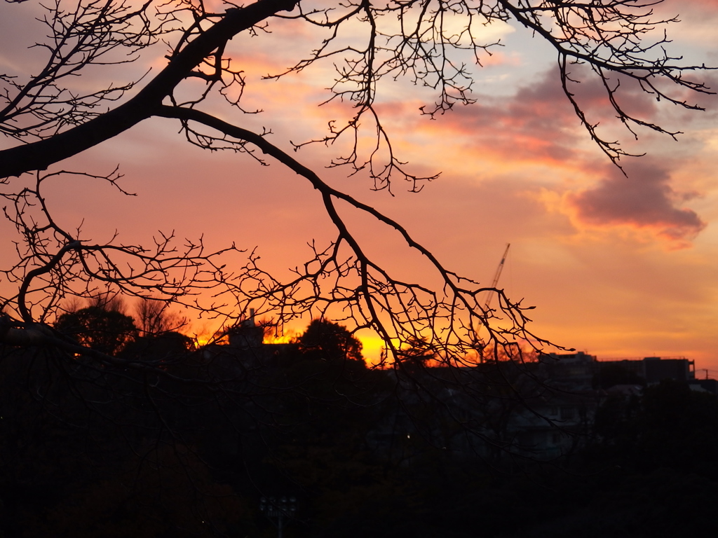 外人墓地の夕日