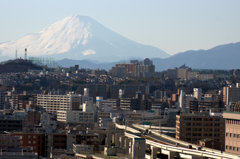 横浜からの富士-3