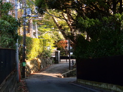 通いなれた道
