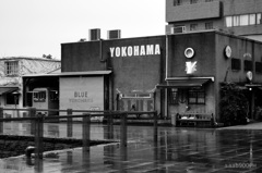 雨の横浜