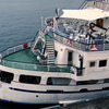 Stern