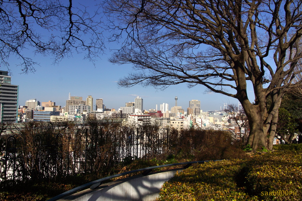 春の陽気
