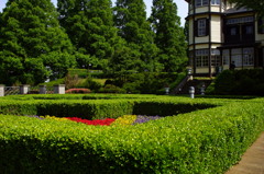 イタリア山の新緑-3