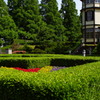 イタリア山の新緑-3
