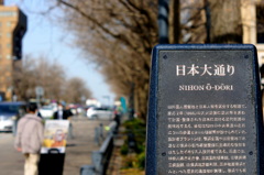 休日の日本大通り