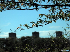 根岸の初秋