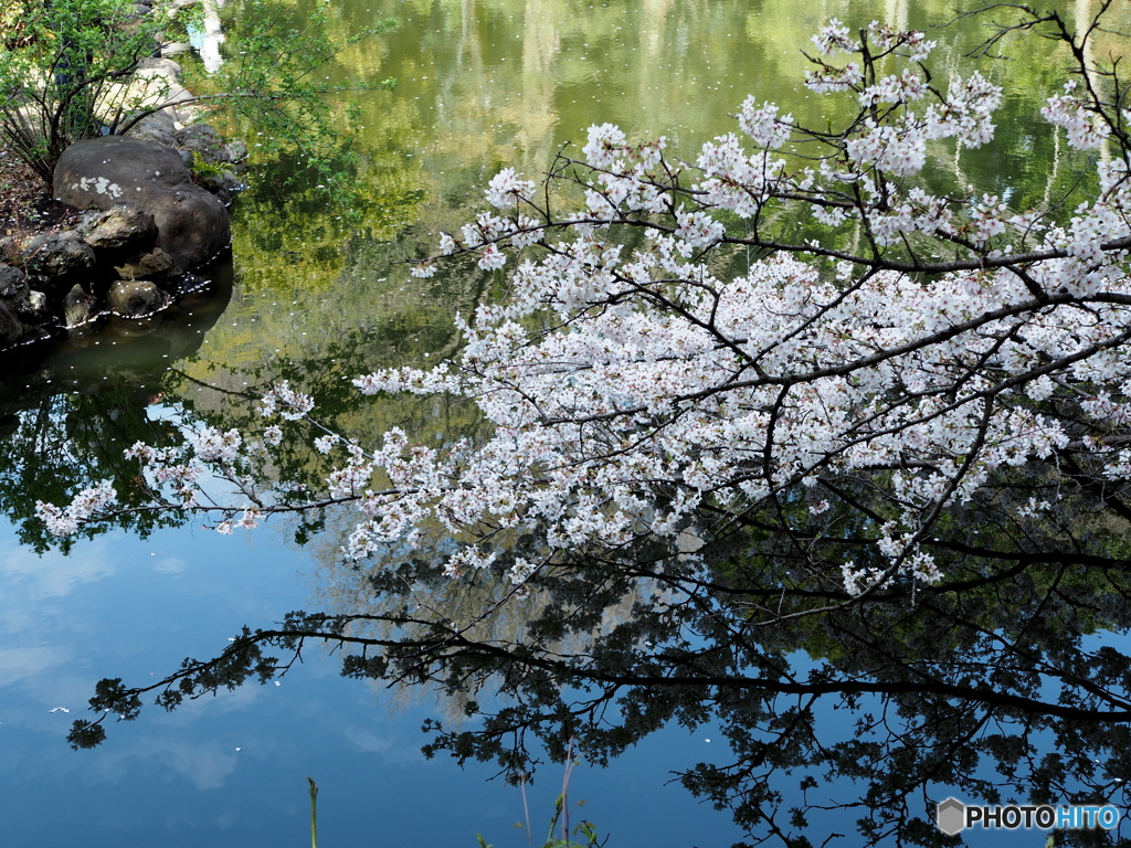 Reflection