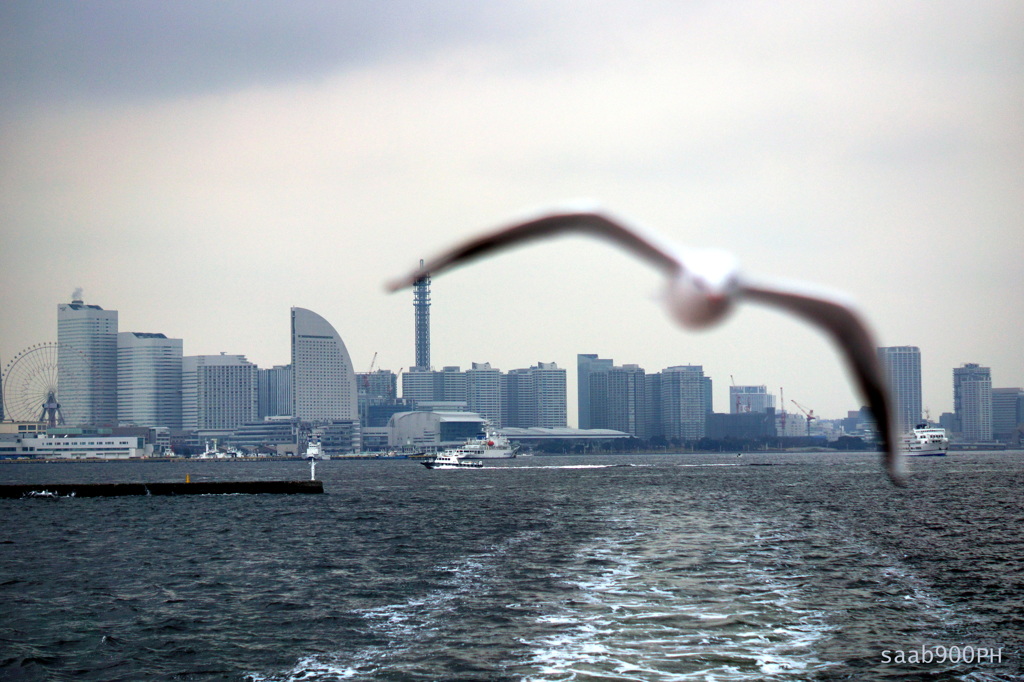 冬の横浜港