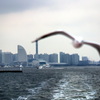 冬の横浜港