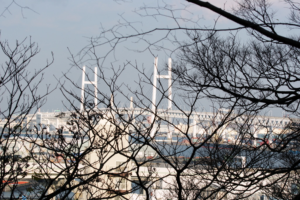 2014年12月30日横浜-2