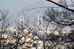 2014年12月30日横浜-2