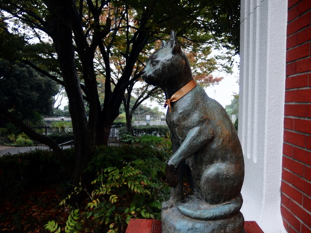 丘の猫