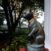 丘の猫