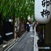 魅惑の小道