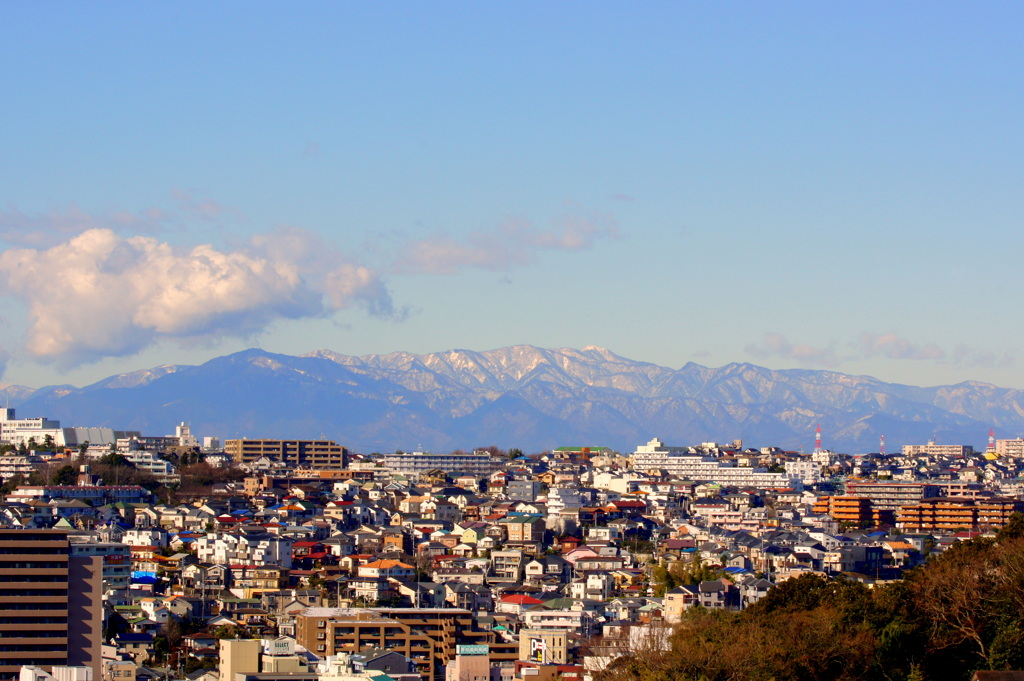 こんな横浜