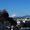 冬の楽しみ